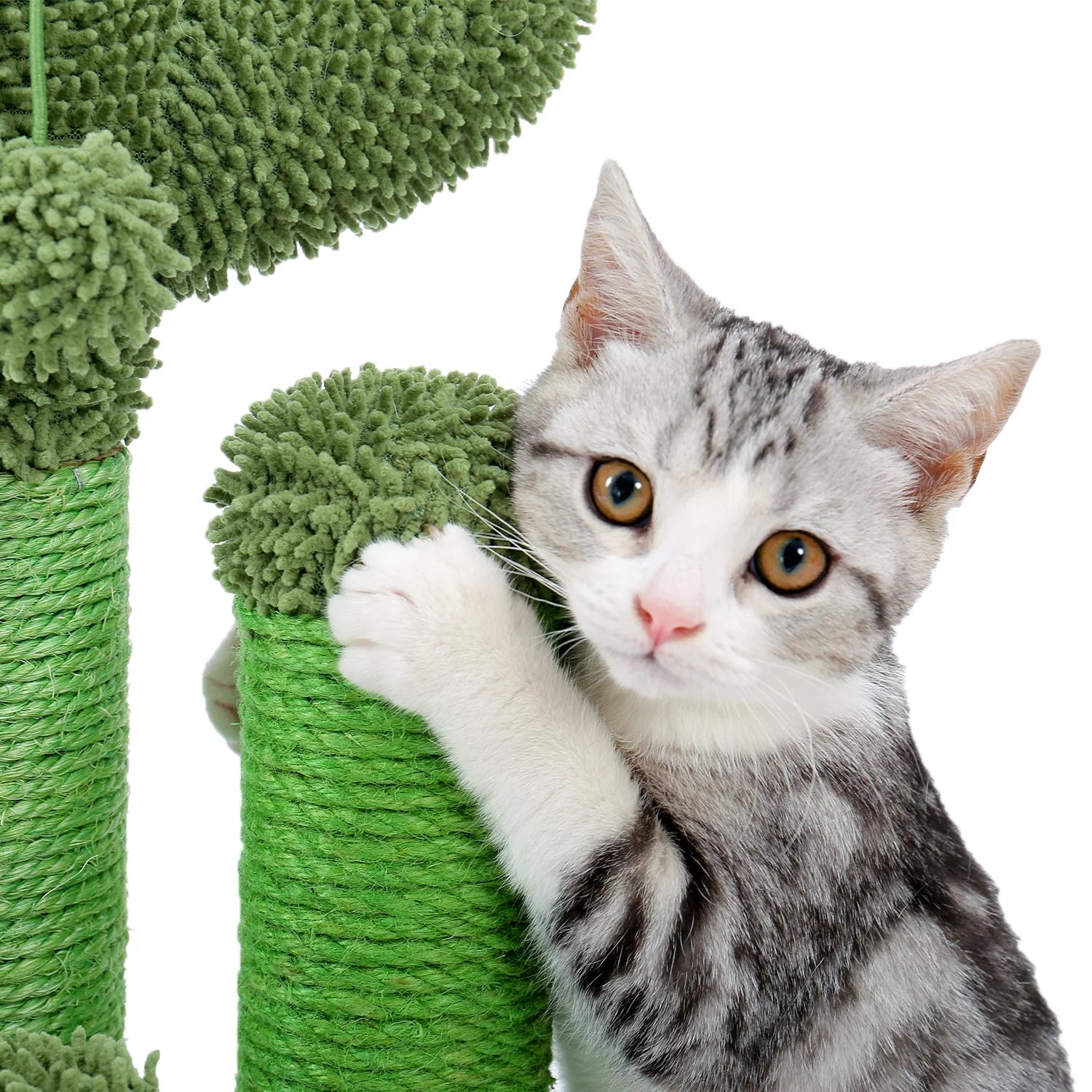 23" Cactus Cat Scratching Posts Medium Sisal Cat Scratcher,Green